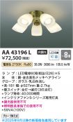 AA43196L