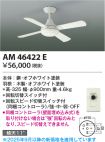AM46422E