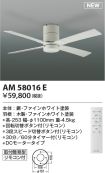 AM58016E