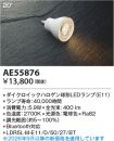 AE55876