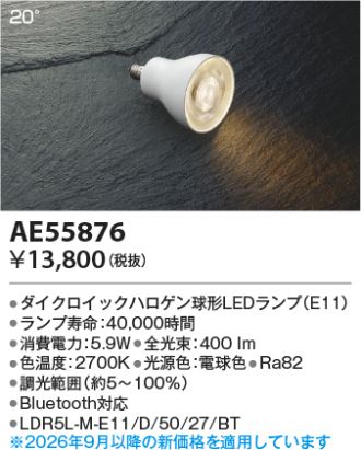 AE55876