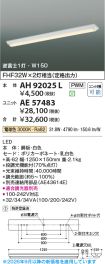 AE57483