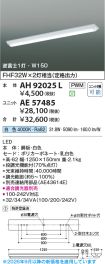 AE57485