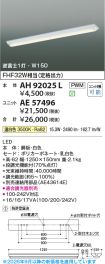 AE57496