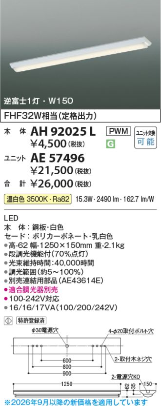 AE57496