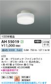 AH55019