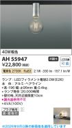 AH55947