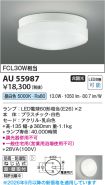 AU55987
