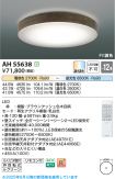 AH55638