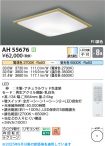 AH55676