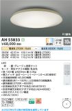 AH55833