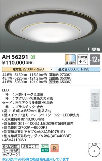 AH56291