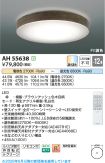 AH55638
