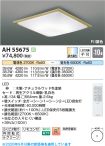 AH55675