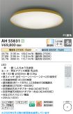 AH55831
