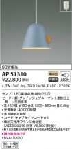 AP51310