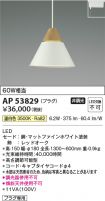 AP53829