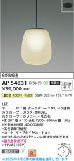 AP54831
