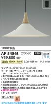 AP54863