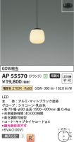 AP55570