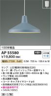 AP55580