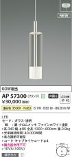 AP57300