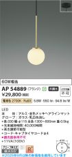 AP54889