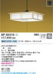 KAP50310