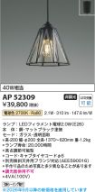 AP52309