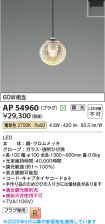 AP54960