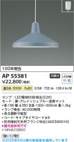 AP55581