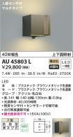 AU45803L