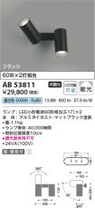 AB53811
