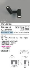 AB53821