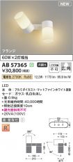 AB57365
