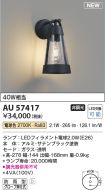 AU57417