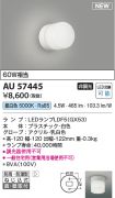 AU57445
