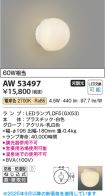 AW53497