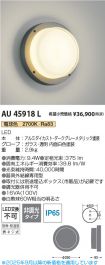 AU45918L