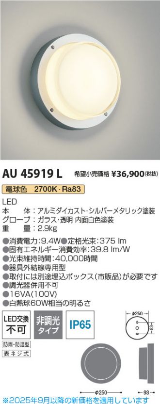 AU45919L