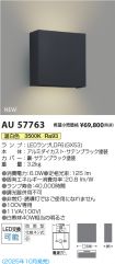 AU57763