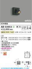 AB53953
