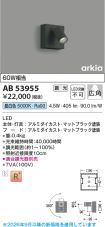 AB53955