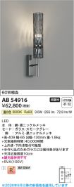 AB54916