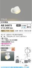 AB54975