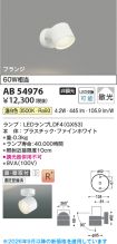 AB54976