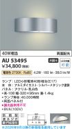 AU53495
