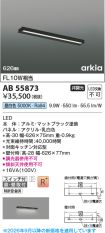 AB55873