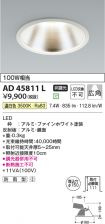 AD45811L