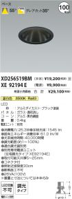 XD256519B...